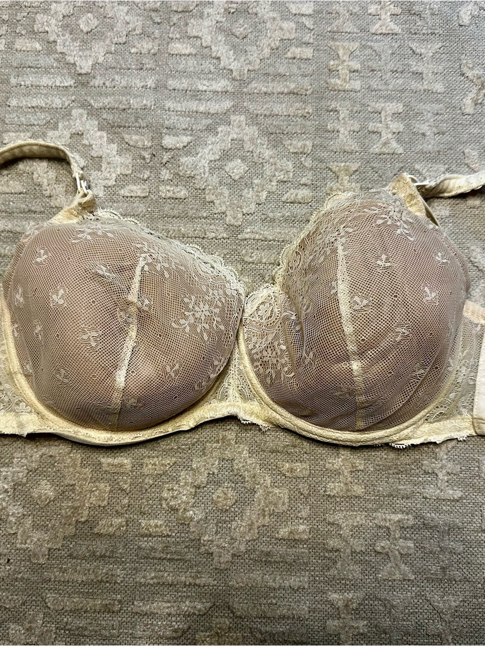 Sheer Lace Nursing Bra in Beige